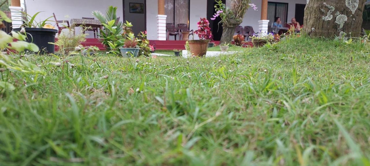 Marari Phoenix Beach Homestay Mararikulam Exterior photo